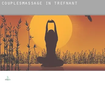 Couples massage in  Trefnant